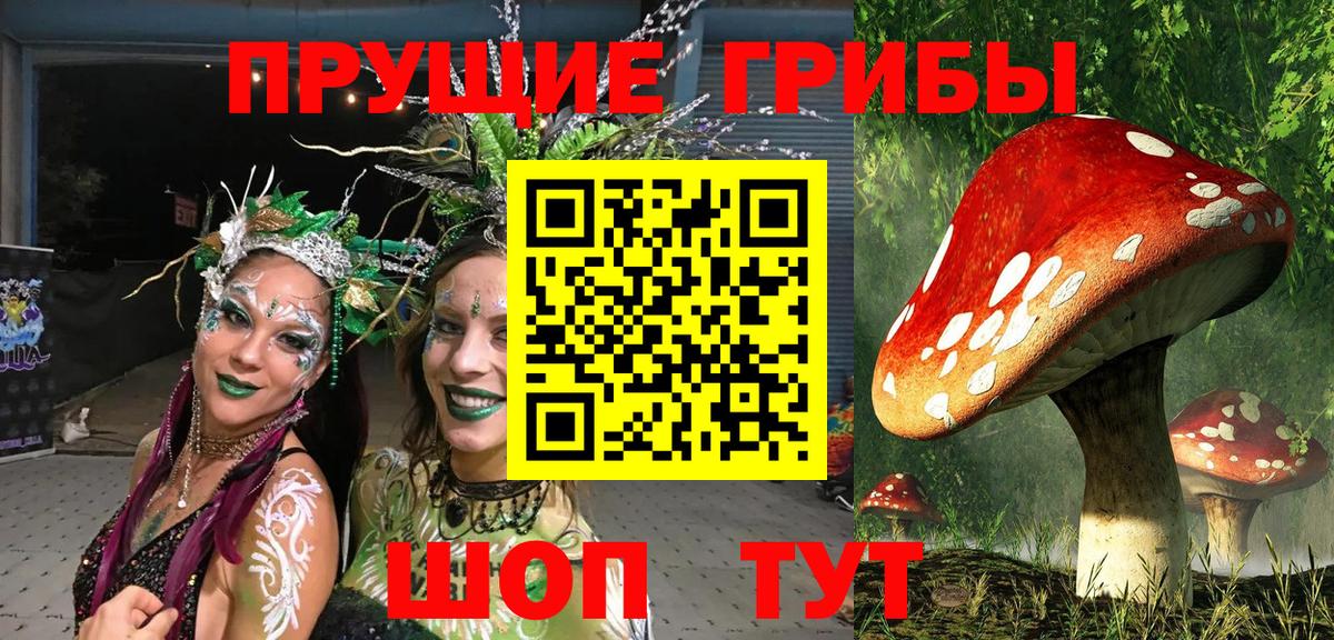Псилоцибиновые грибы Magic Shrooms Рубцовск